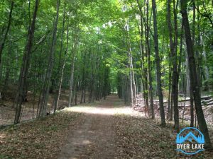 Sleeping Bear National Lakeshore Dune Climb Alligator Hill