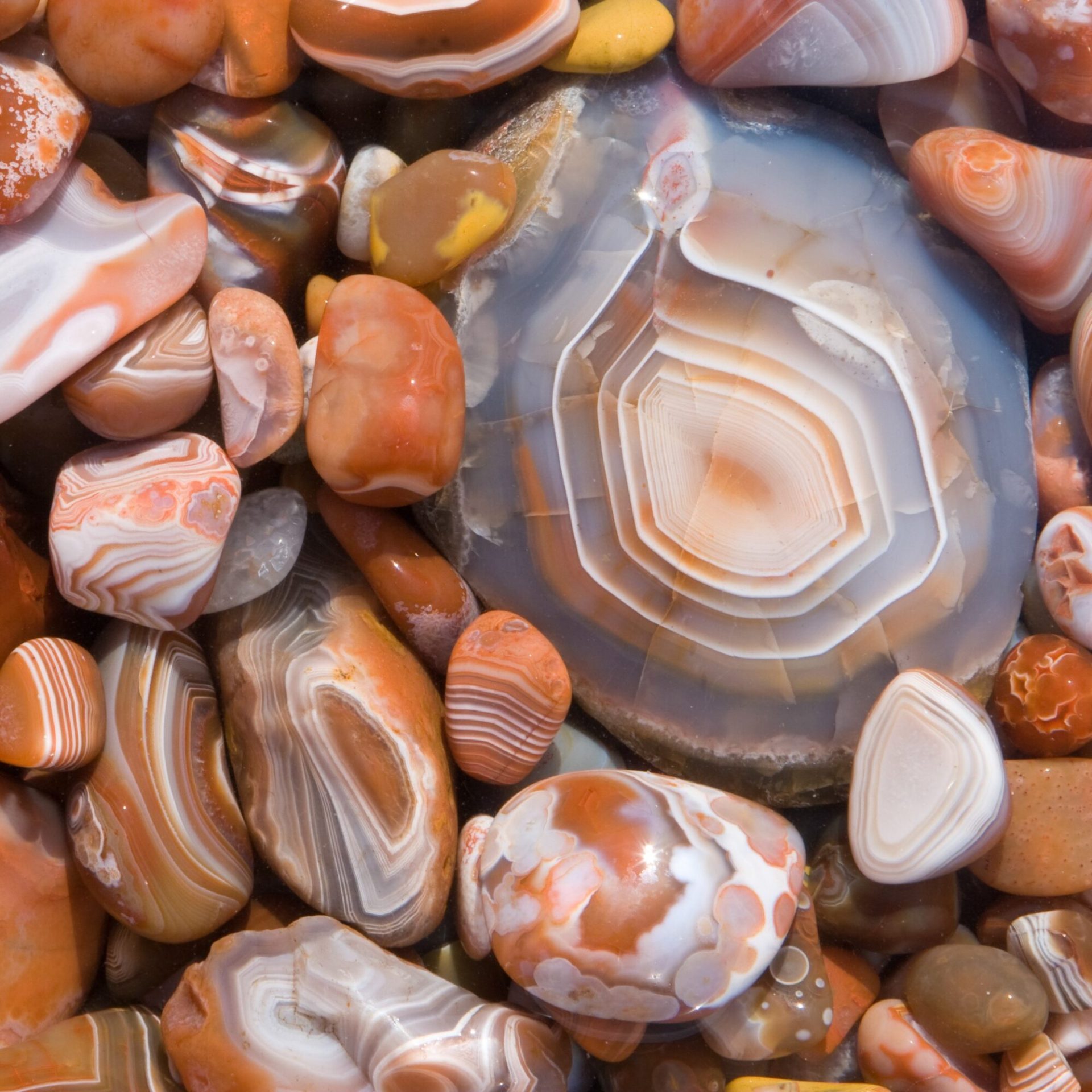 Lake Superior Agates Lake Superior Agates