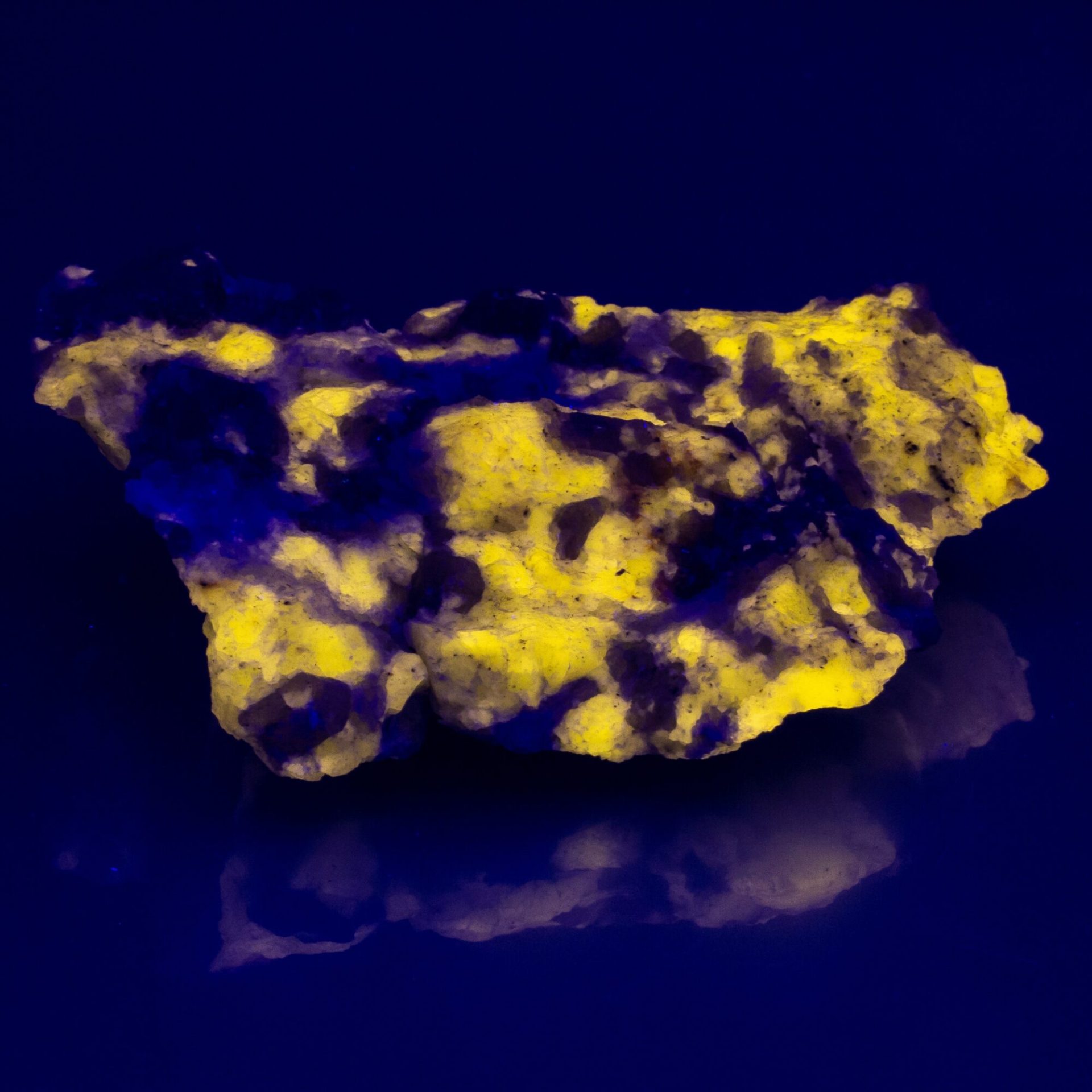 Sodalite - Wernerite fluorescent mineral under UV light. Luminescent yellow crystals in ultraviolet lightening. Yooperlite