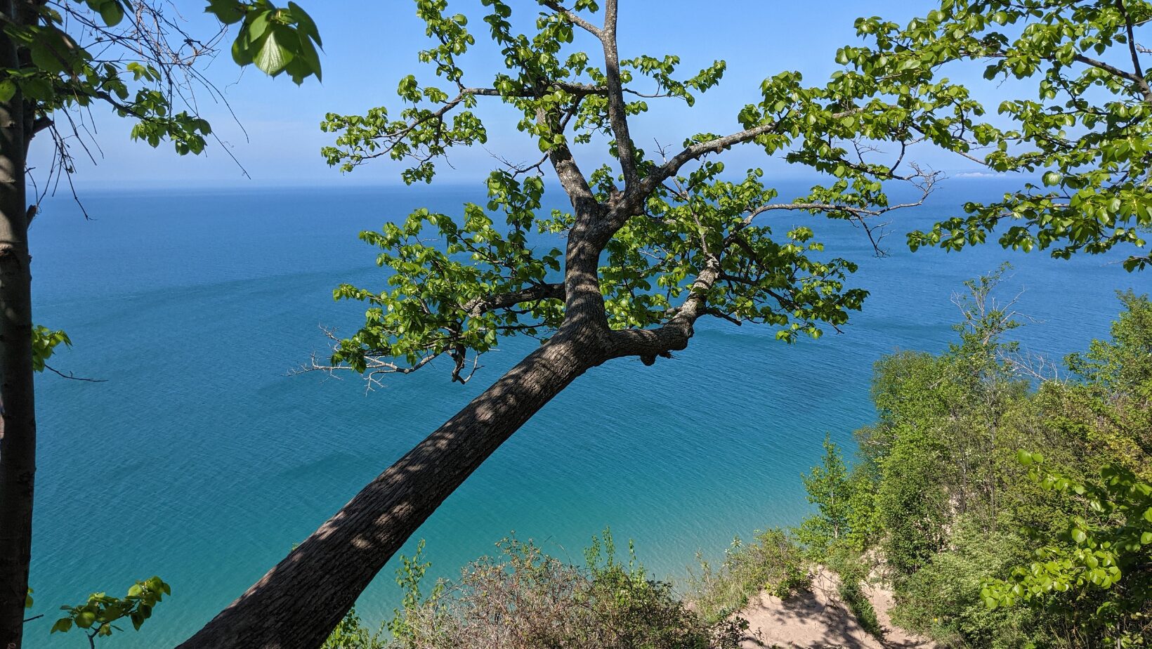 Explore 7 must-visit scenic hiking trails near Traverse City, from Lake Michigan views to forest paths and riverside walks for all skill levels.